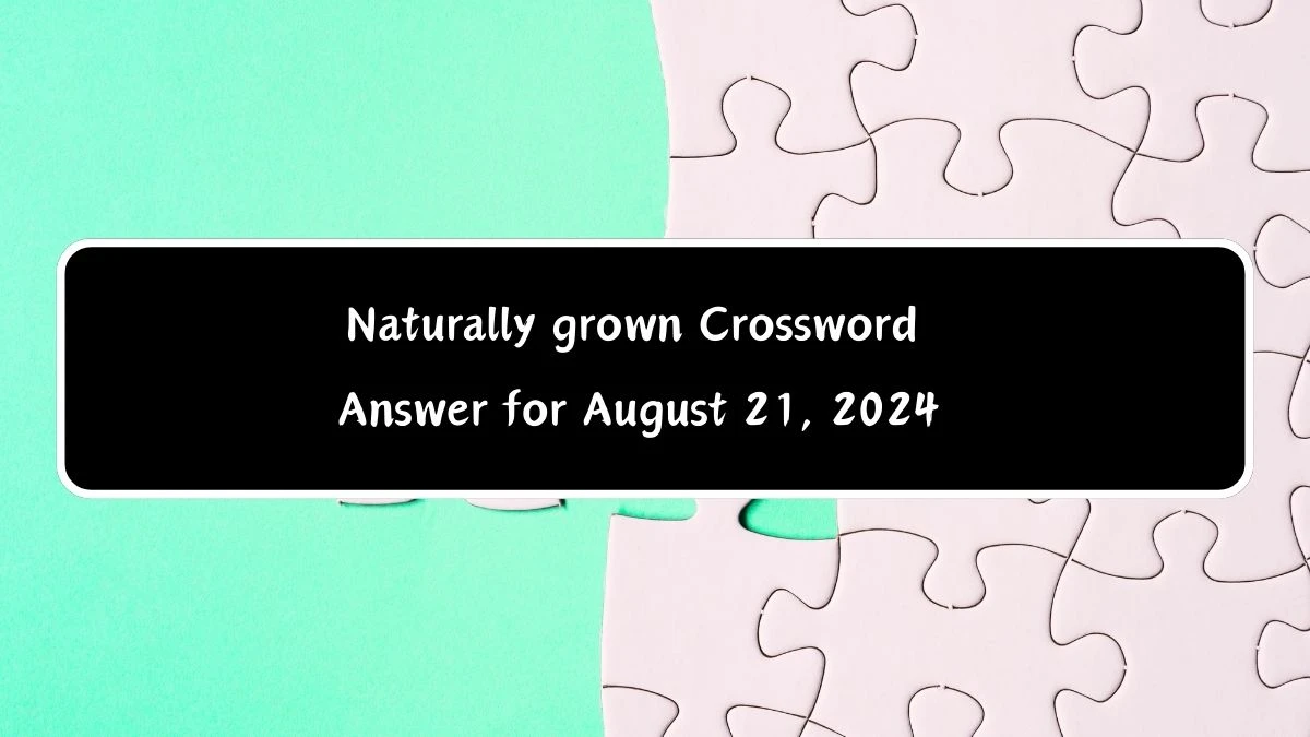 Naturally grown Crossword Clue Answers on August 21, 2024