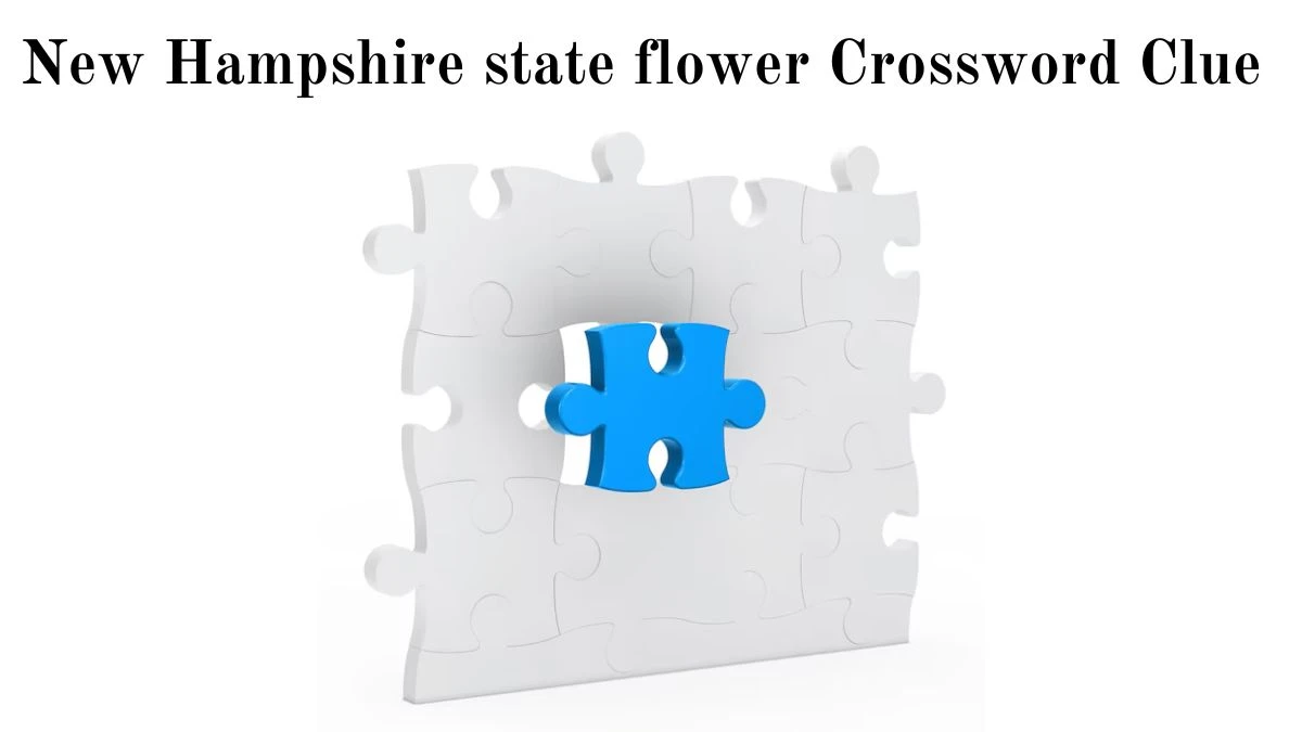 LA Times New Hampshire state flower Crossword Puzzle Answer from August 04, 2024