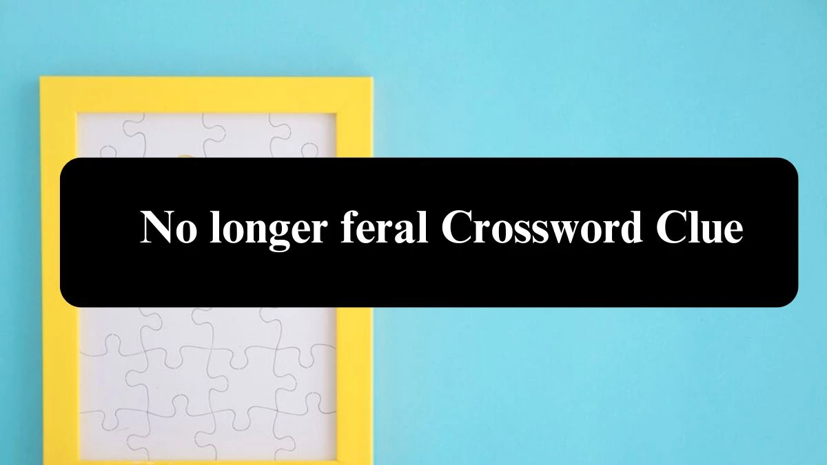 LA Times No longer feral Crossword Clue Puzzle Answer from August 02, 2024