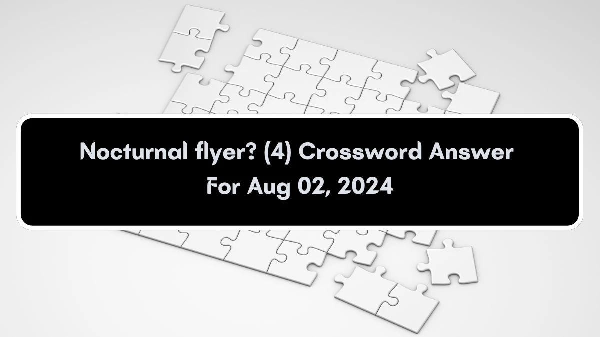 Nocturnal flyer? (4) Crossword Clue Puzzle Answer from August 02, 2024