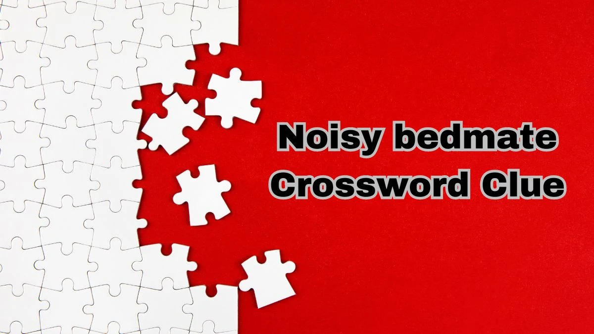 Noisy bedmate NYT Crossword Clue Puzzle Answer from August 12, 2024