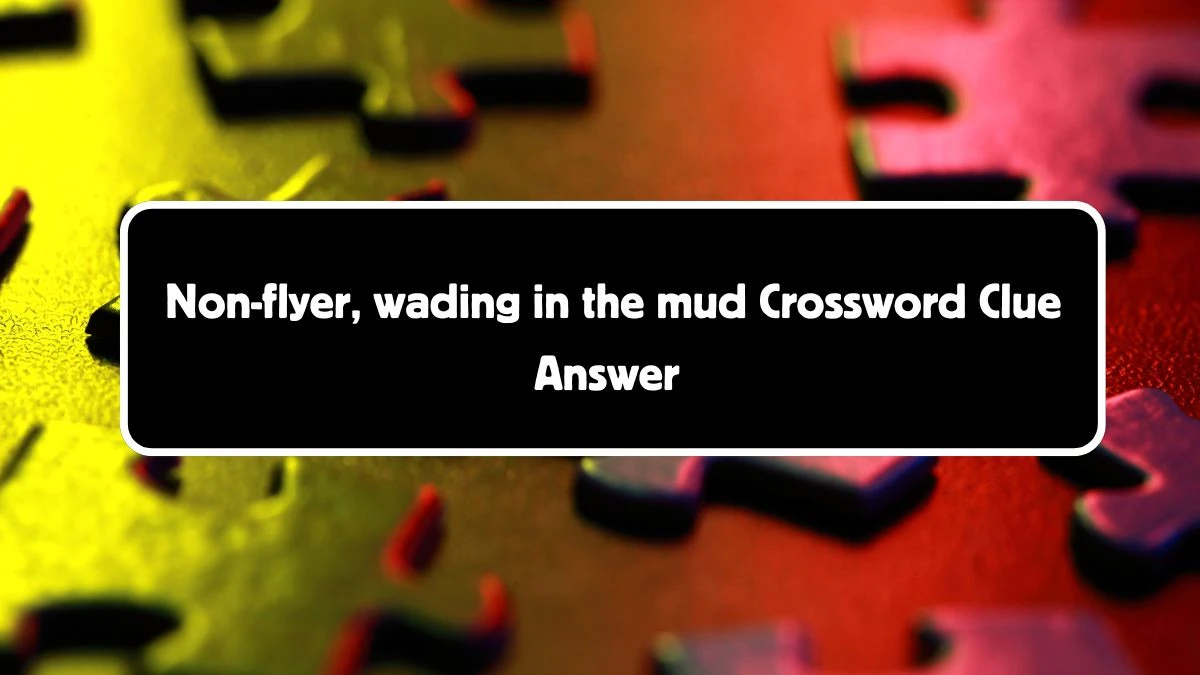 Non-flyer, wading in the mud Crossword Clue Answers on August 04, 2024