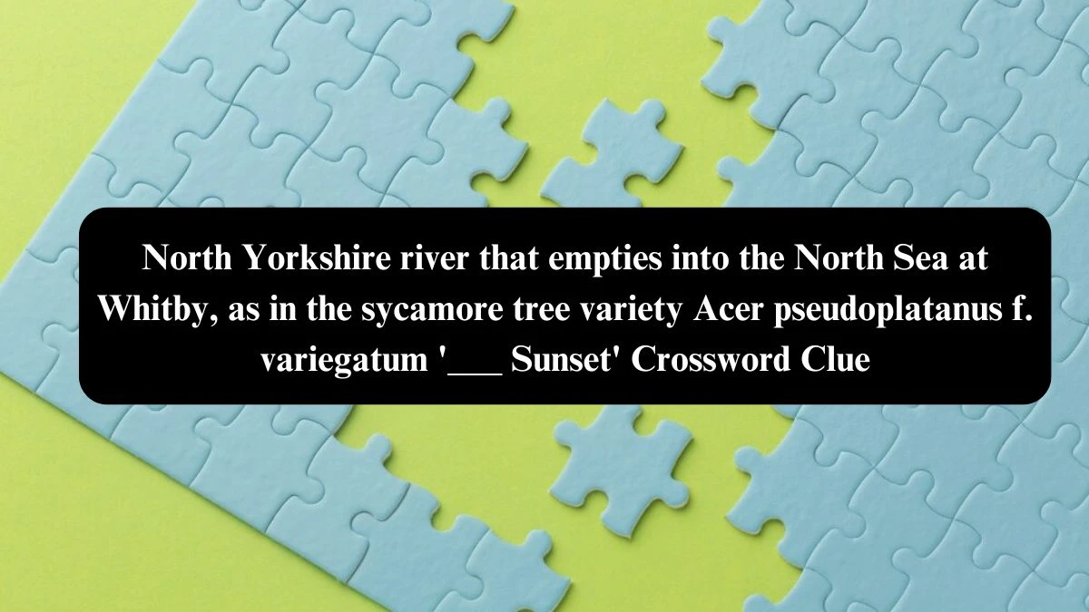 North Yorkshire river that empties into the North Sea at Whitby, as in the sycamore tree variety Acer pseudoplatanus f. variegatum '___ Sunset' Crossword Clue Puzzle Answer from August 03, 2024