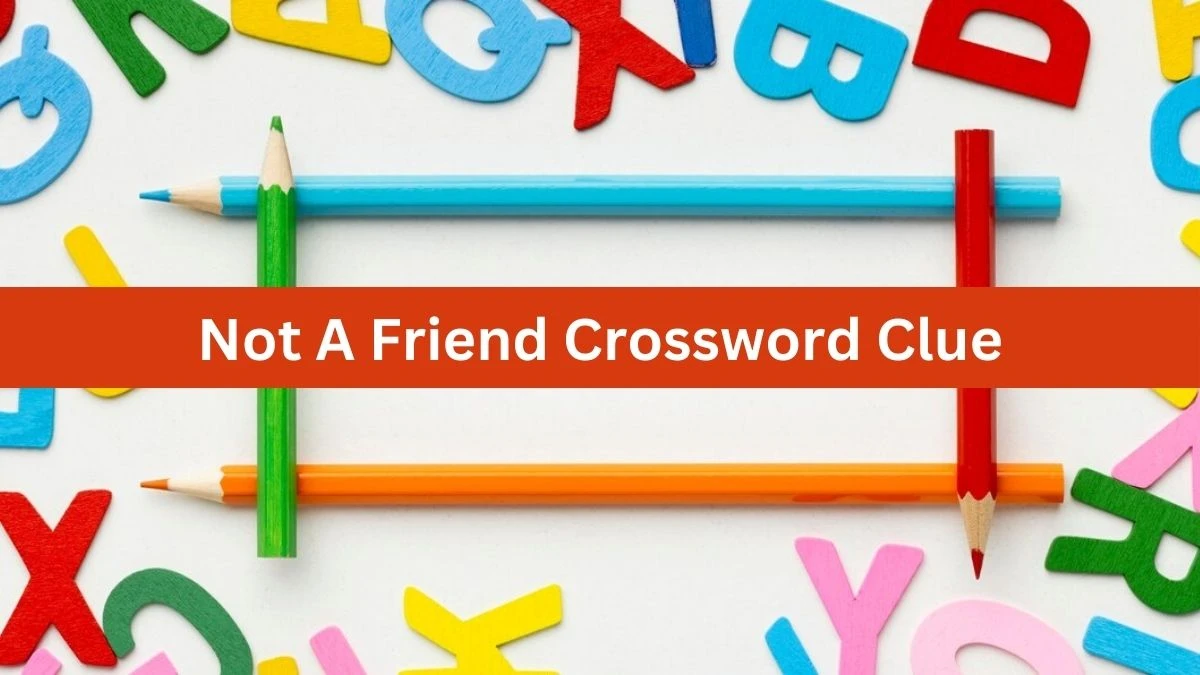 Not A Friend Daily Themed Crossword Clue Puzzle Answer from August 20, 2024