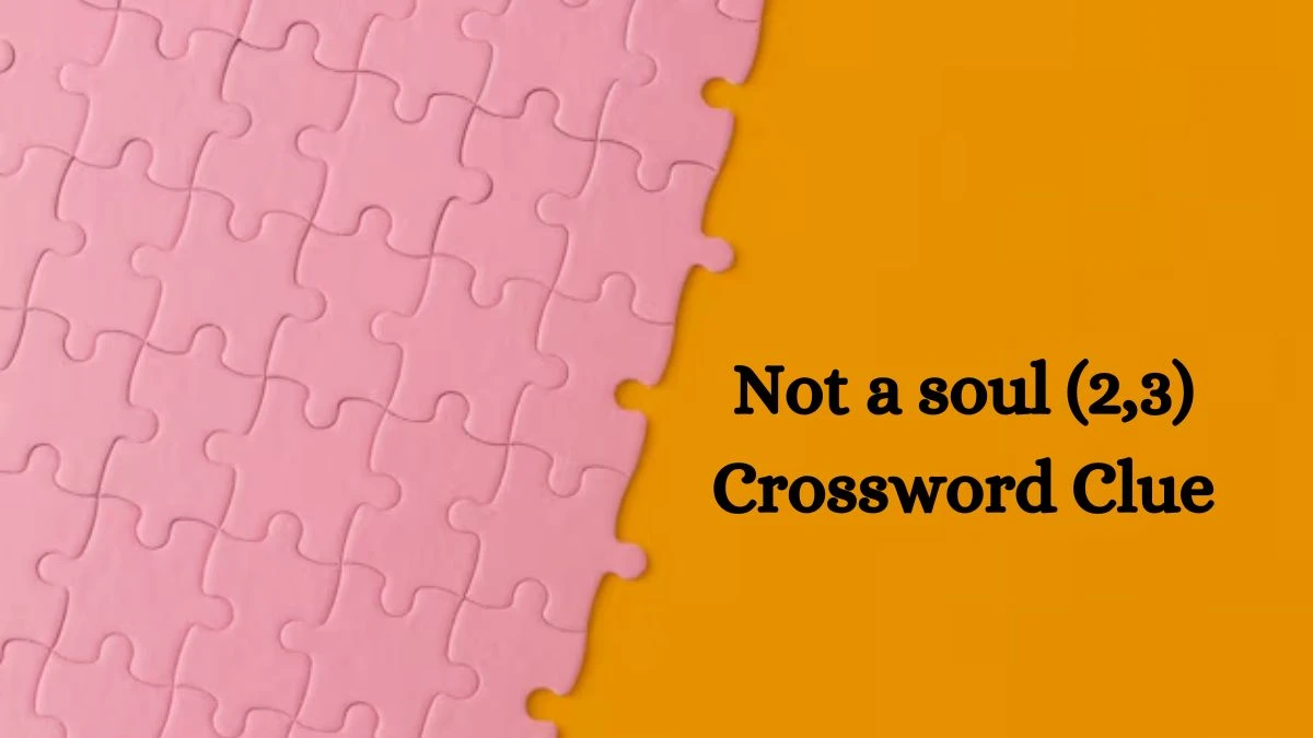 Not a soul (2,3) Crossword Clue Puzzle Answer from August 13, 2024