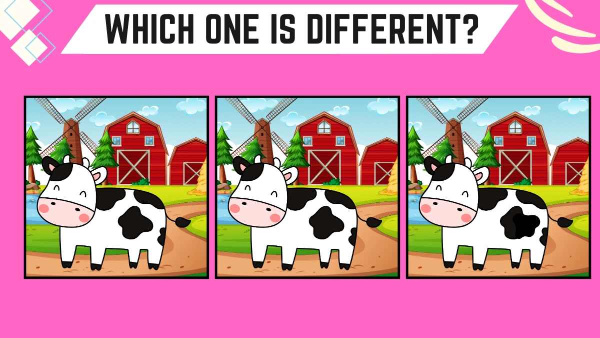 Observation Brain Challenge: Only 8K Vision Can Spot the Different Cow in 8 Secs