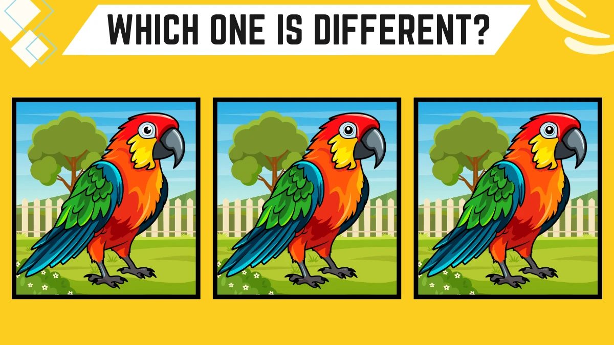 Observation Brain Challenge: Only 8K Vision Can Spot the Different Parrot in 8 Secs