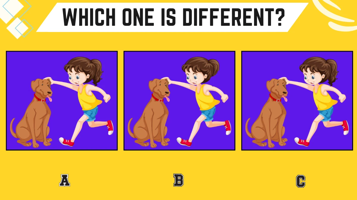 Observation Brain Challenge: Only People with 2K Vision Can Spot the Different Girl in 7 Secs