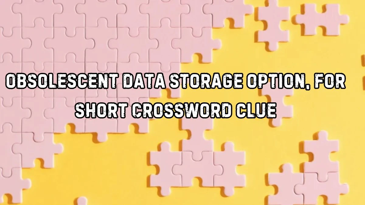 NYT Obsolescent data storage option, for short Crossword Clue Puzzle Answer from August 29, 2024