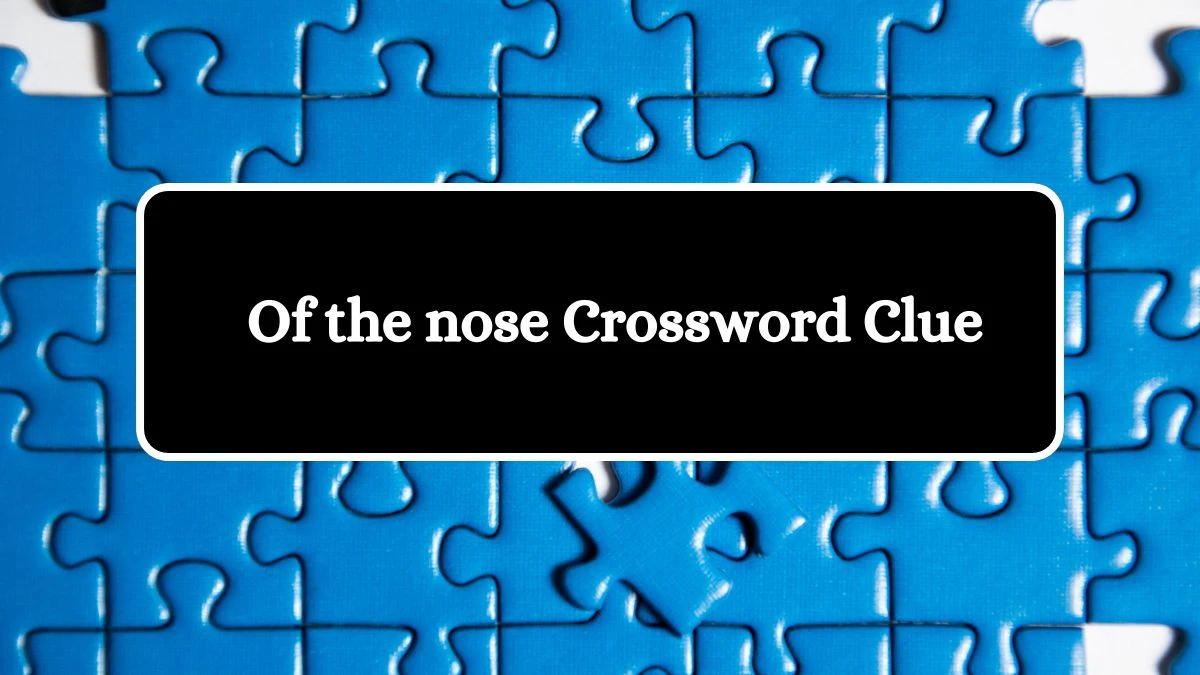 Of the nose Crossword Clue Answers on August 13, 2024