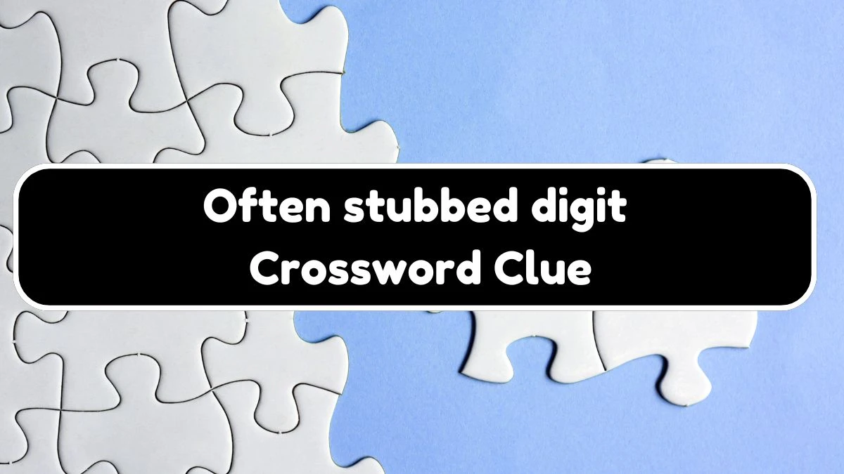 Often stubbed digit Daily Themed Crossword Clue Puzzle Answer from August 04, 2024