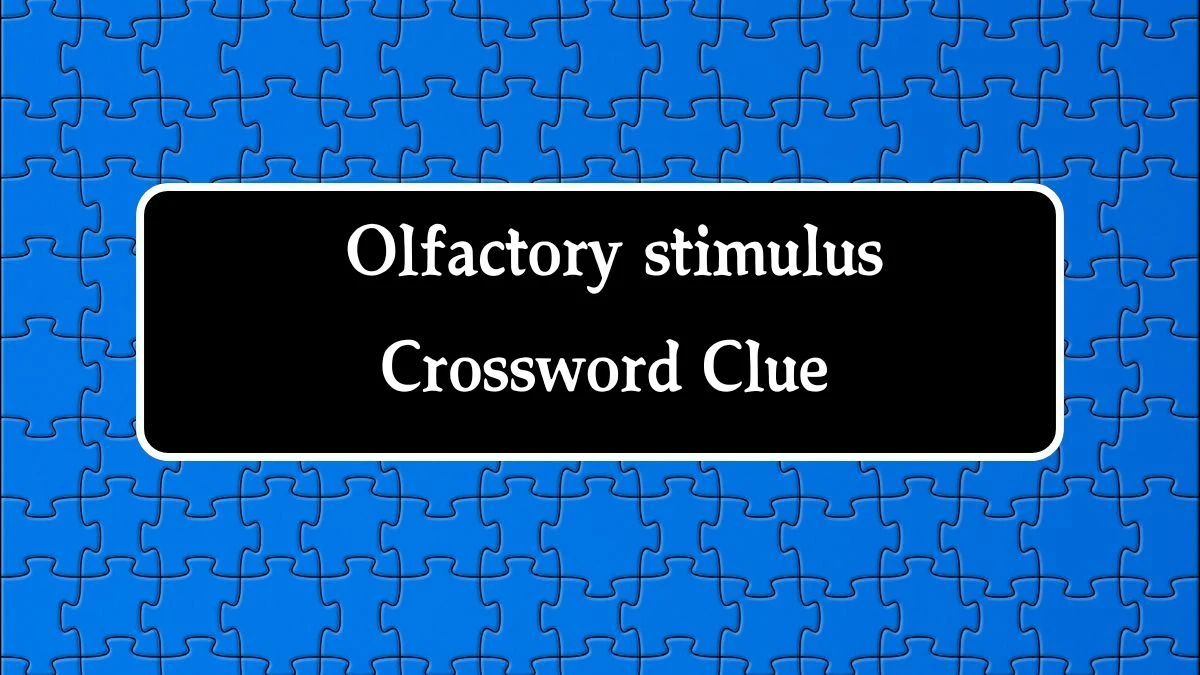 LA Times Olfactory stimulus Crossword Clue Puzzle Answer from August 20, 2024