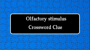 LA Times Olfactory stimulus Crossword Clue Puzzle Answer from August 20, 2024