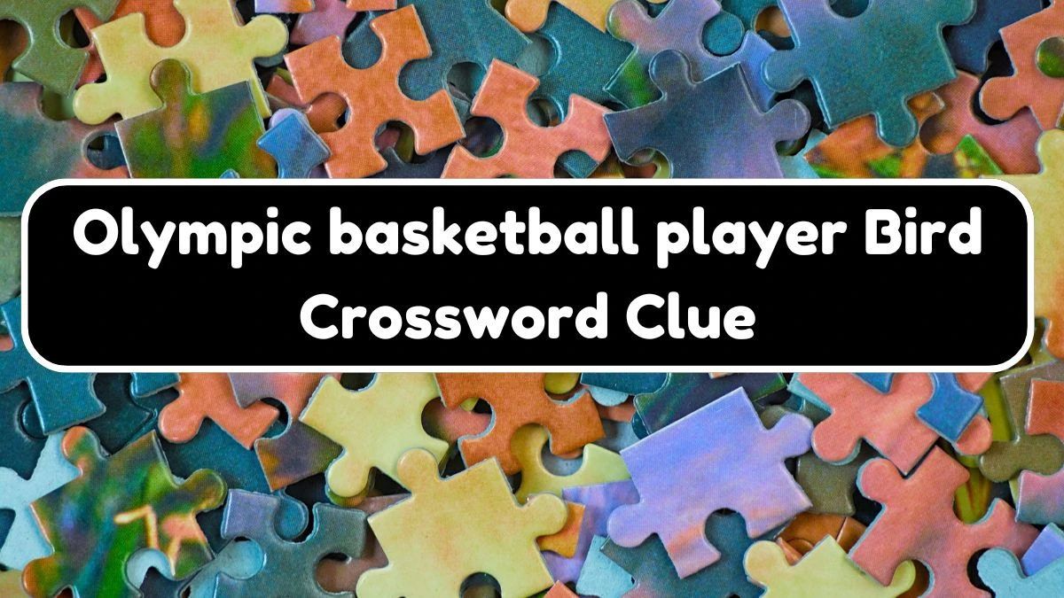 USA Today Olympic basketball player Bird Crossword Clue Puzzle Answer from August 03, 2024