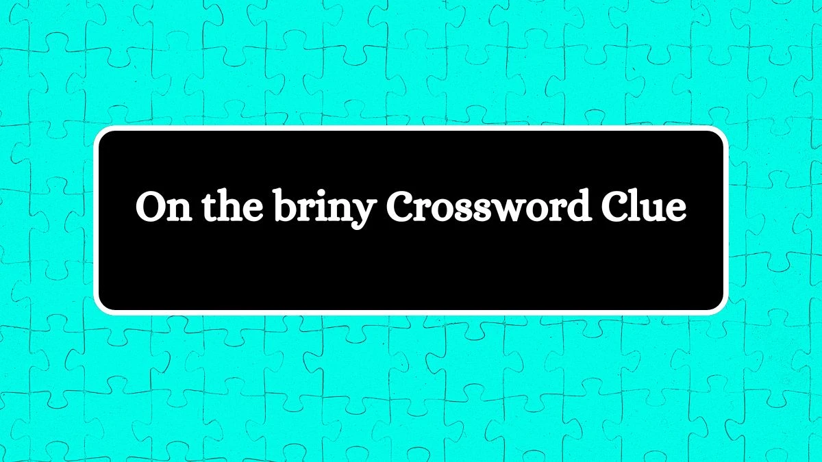 LA Times On the briny Crossword Clue Puzzle Answer from August 22, 2024