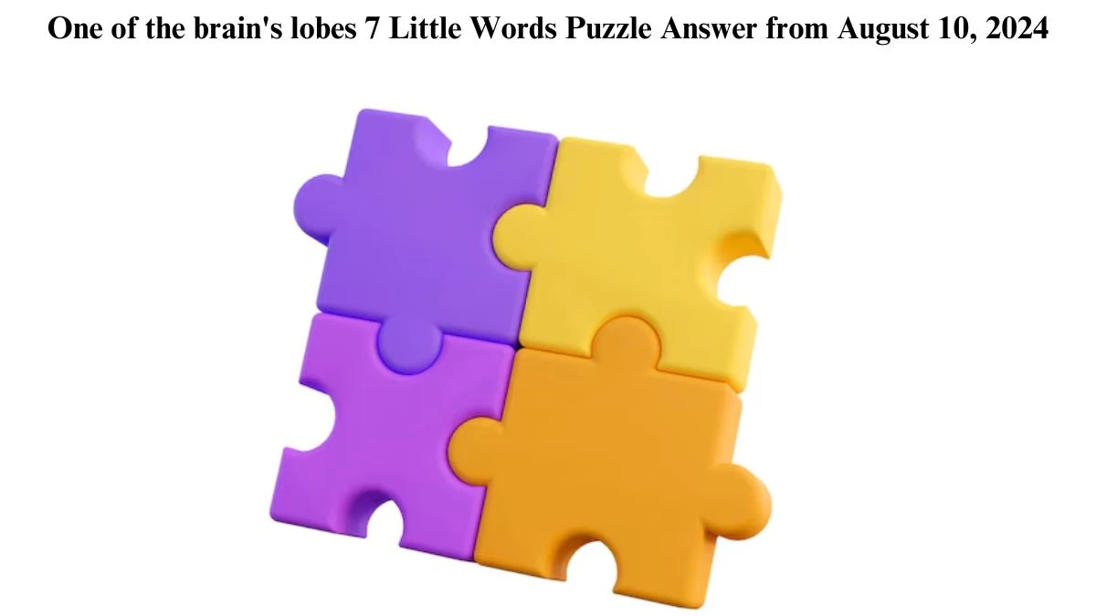 One of the brain's lobes 7 Little Words Puzzle Answer from August 10, 2024