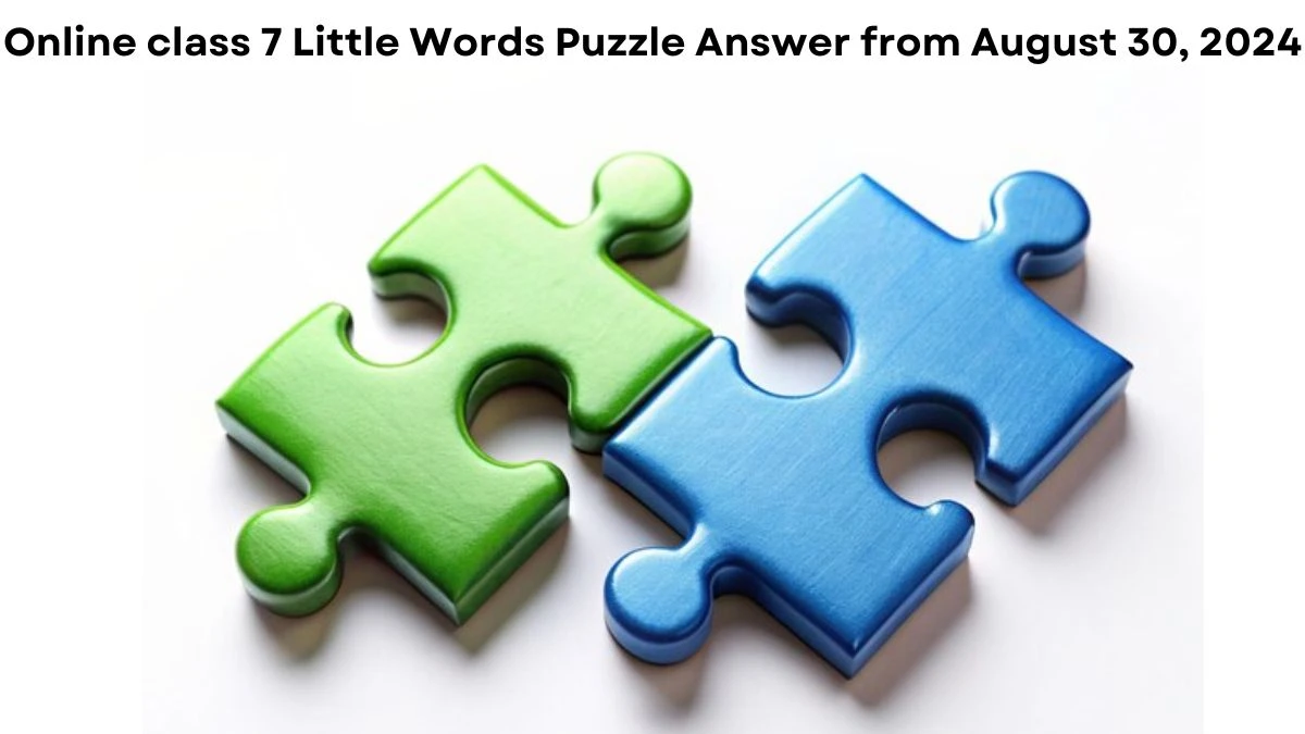 Online class 7 Little Words Puzzle Answer from August 30, 2024