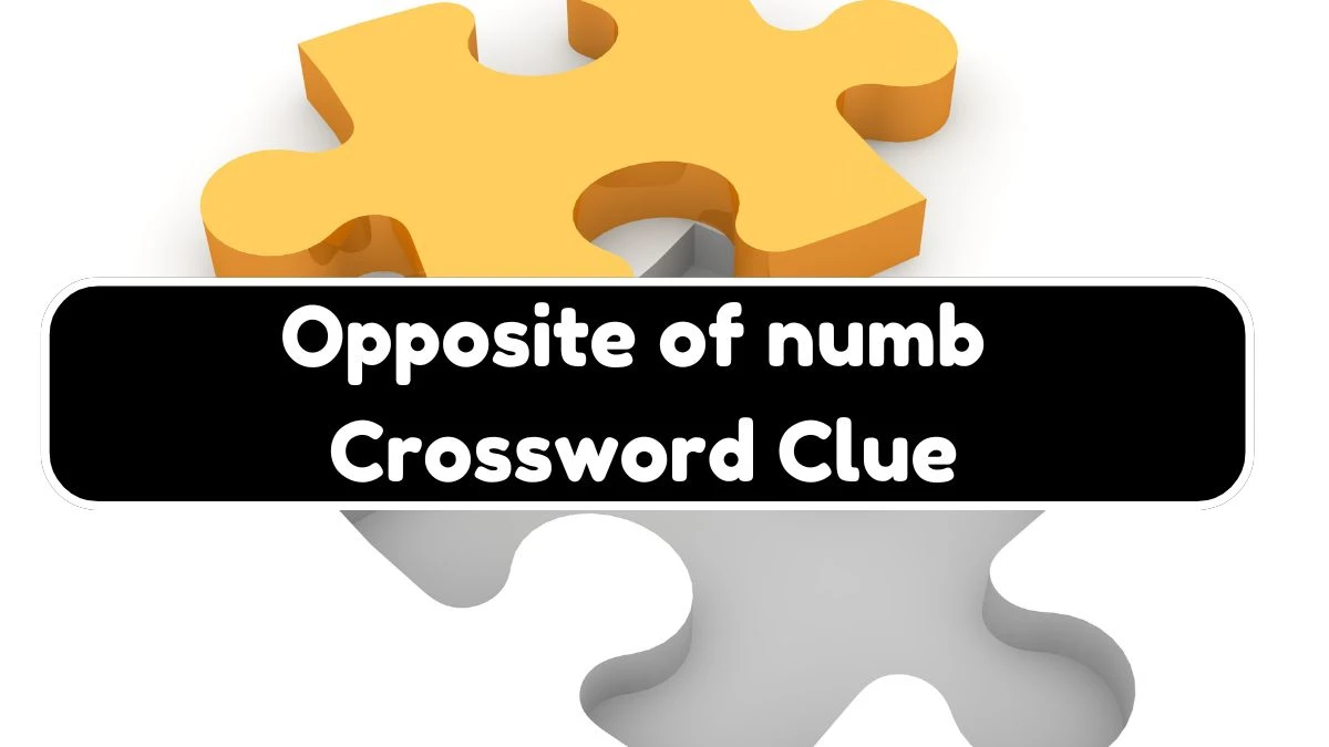 Opposite of numb NYT Crossword Clue Puzzle Answer on August 07, 2024