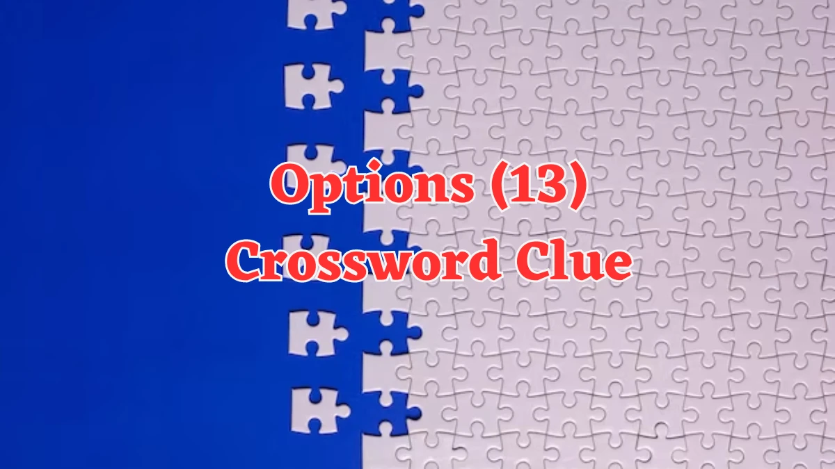 Options (13) Crossword Clue Puzzle Answer from August 07, 2024