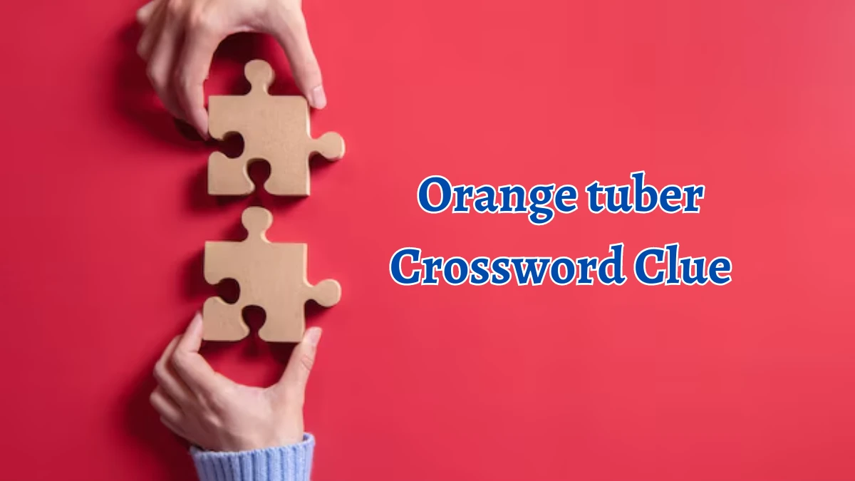 USA Today Orange tuber Crossword Clue Puzzle Answer from August 12, 2024