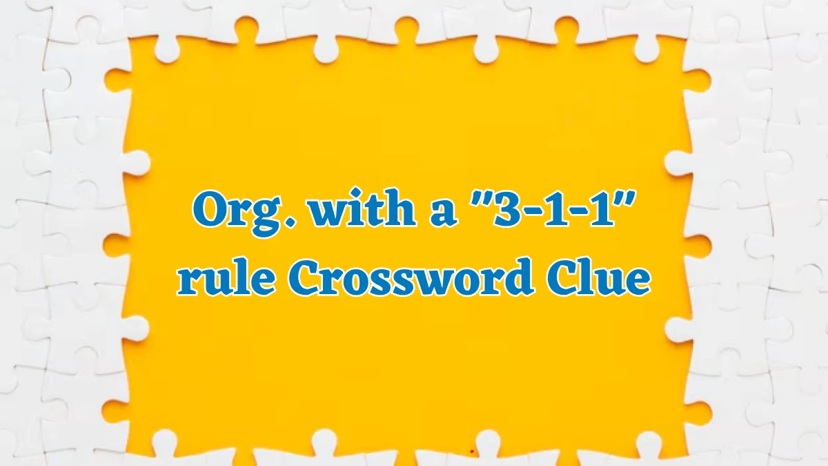 LA Times Org. with a 3-1-1 rule Crossword Clue Puzzle Answer from August 17, 2024