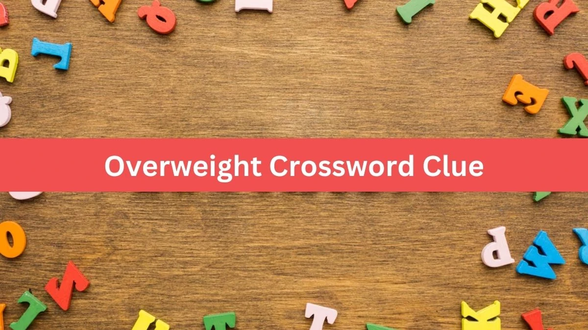 Overweight Crossword Clue Puzzle Answer from August 17, 2024