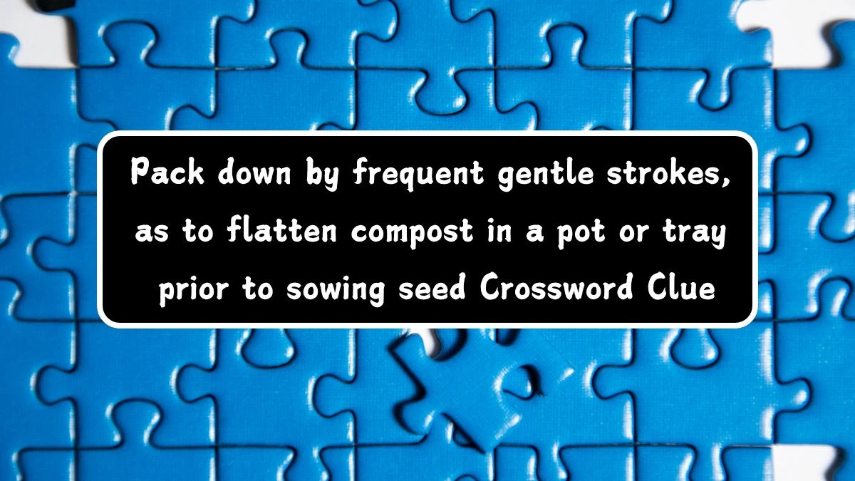 Pack down by frequent gentle strokes, as to flatten compost in a pot or tray prior to sowing seed Crossword Clue Answers on August 03, 2024