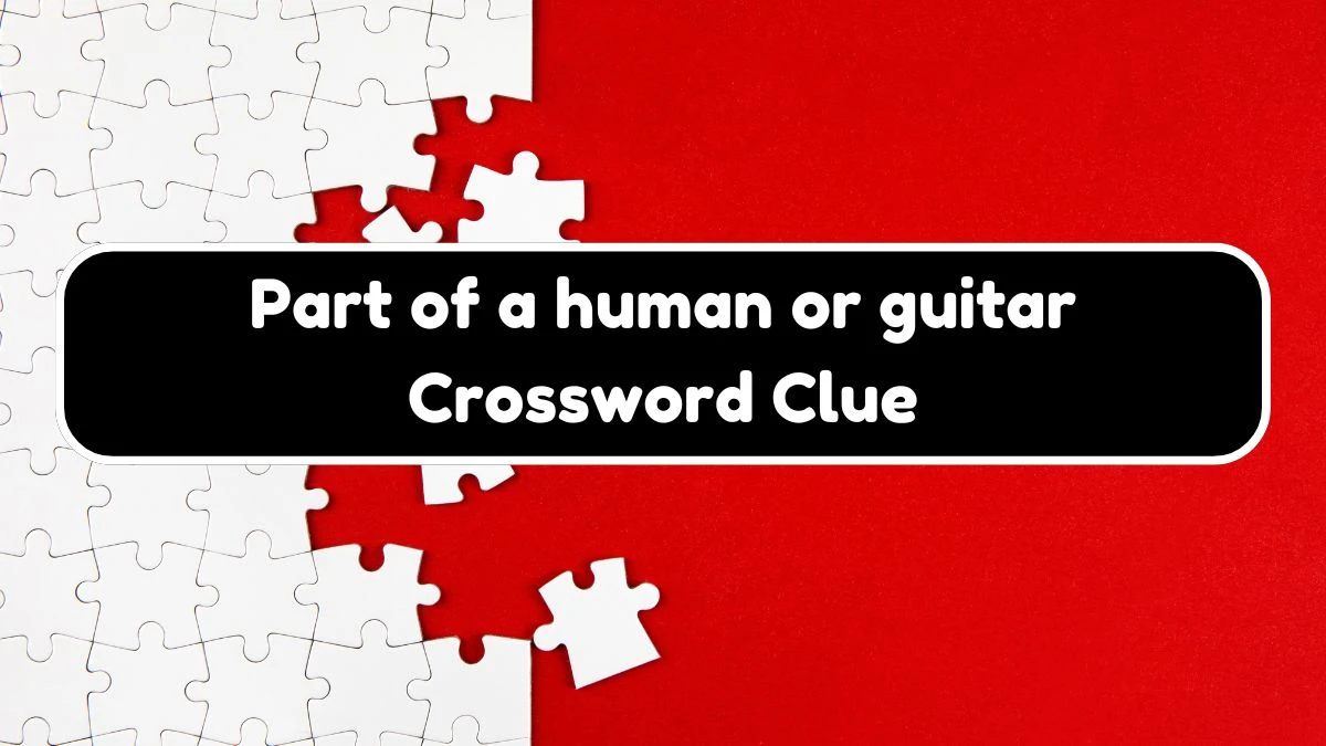 Universal Part of a human or guitar Crossword Clue Puzzle Answer from August 03, 2024