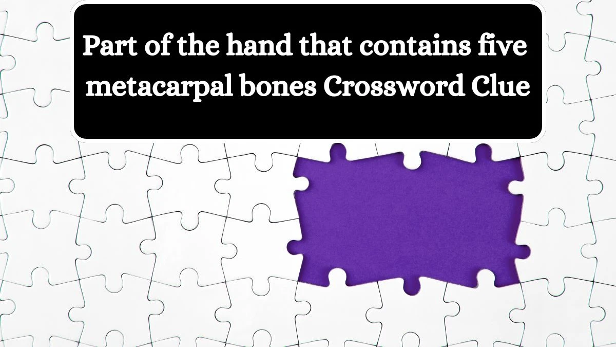 Part of the hand that contains five metacarpal bones Crossword Clue Puzzle Answer from August 08, 2024