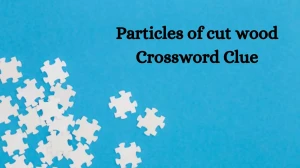 Irish Daily Mail Quick Particles of cut wood 7 Letters Crossword Clue Puzzle Answers from August 12, 2024