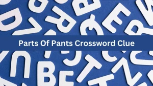 Parts Of Pants Daily Commuter Crossword Clue Puzzle Answer from August 07, 2024