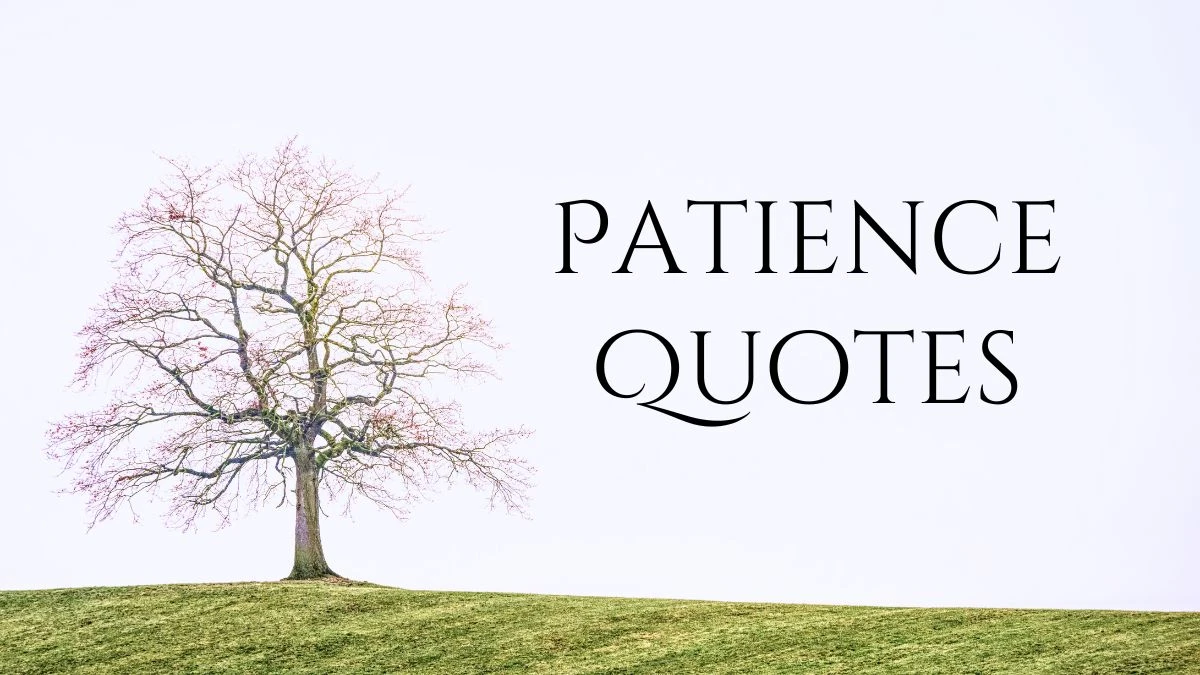 100+ Patience Quotes to Calm Your Soul and Mind