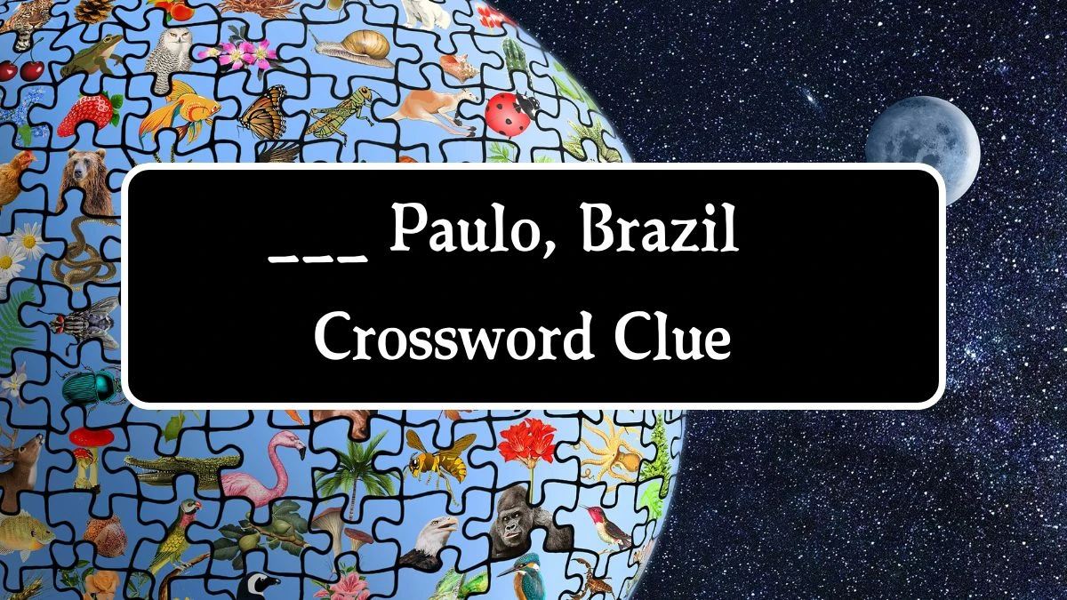 ___ Paulo, Brazil Daily Themed Crossword Clue Puzzle Answer from August 22, 2024