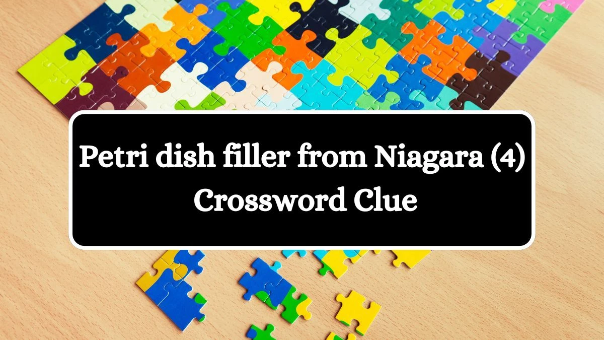 Petri dish filler from Niagara (4) Crossword Clue Puzzle Answer from August 03, 2024