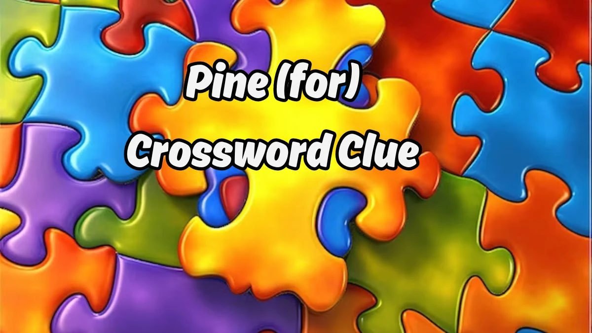 Pine (for) NYT Crossword Clue Puzzle Answer on August 19, 2024