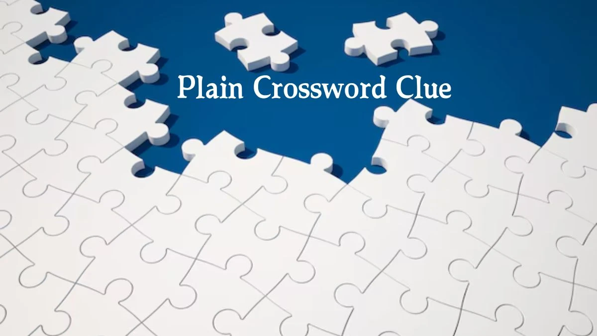 Plain (7) Crossword Clue Answers on August 07, 2024