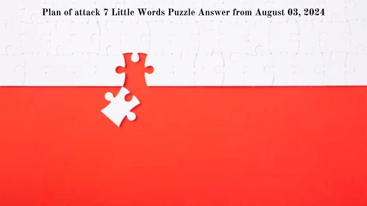 Plan of attack 7 Little Words Puzzle Answer from August 03, 2024