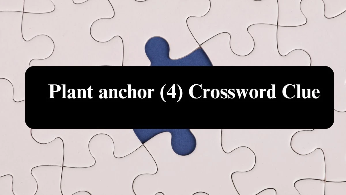 Plant anchor (4) Crossword Clue Puzzle Answer from August 07, 2024