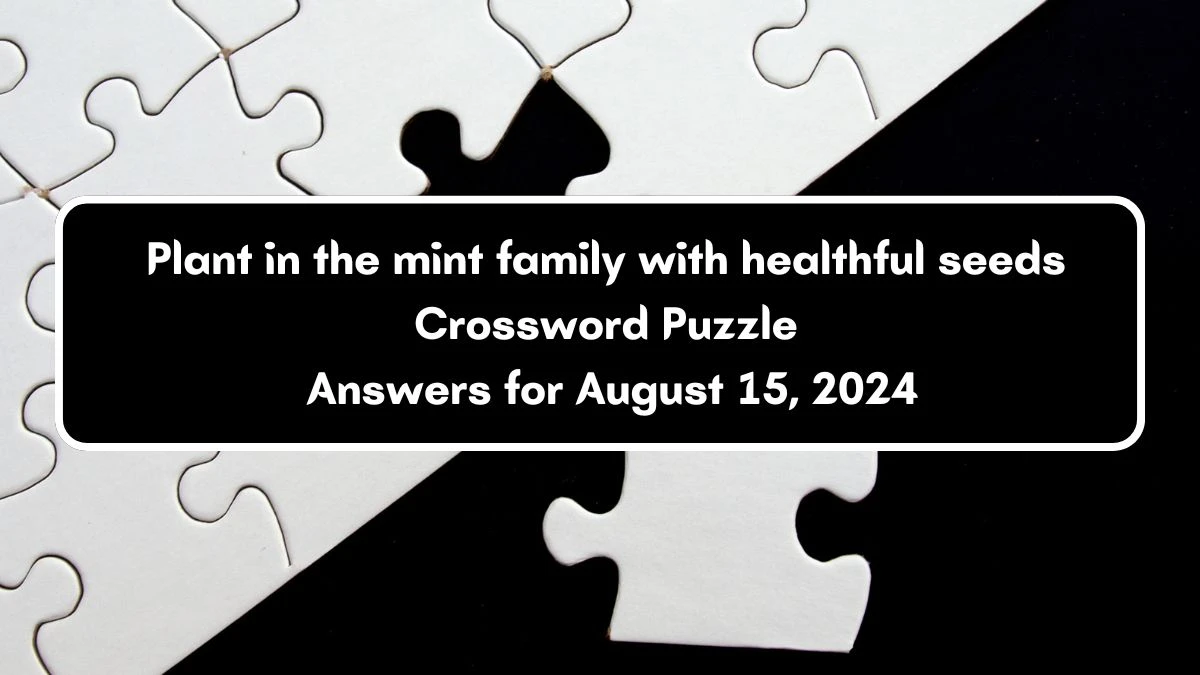 NYT Plant in the mint family with healthful seeds Crossword Clue Puzzle Answer from August 15, 2024