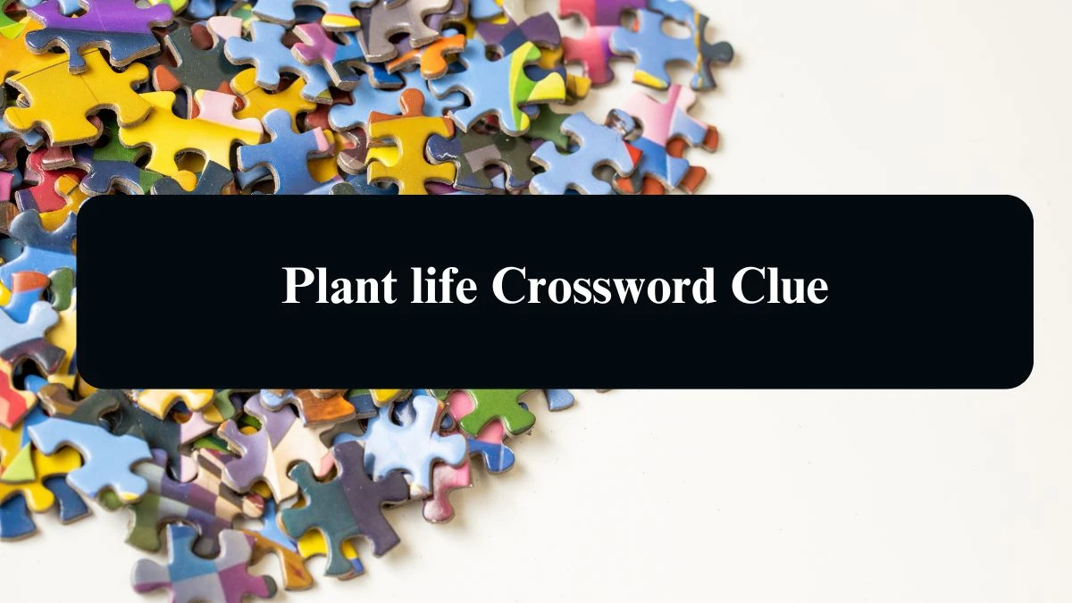 NYT Plant life Crossword Clue Puzzle Answer from August 12, 2024