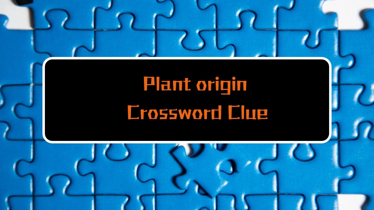 Plant origin Daily Themed Crossword Clue 4 letters Puzzle Answer from August 16, 2024