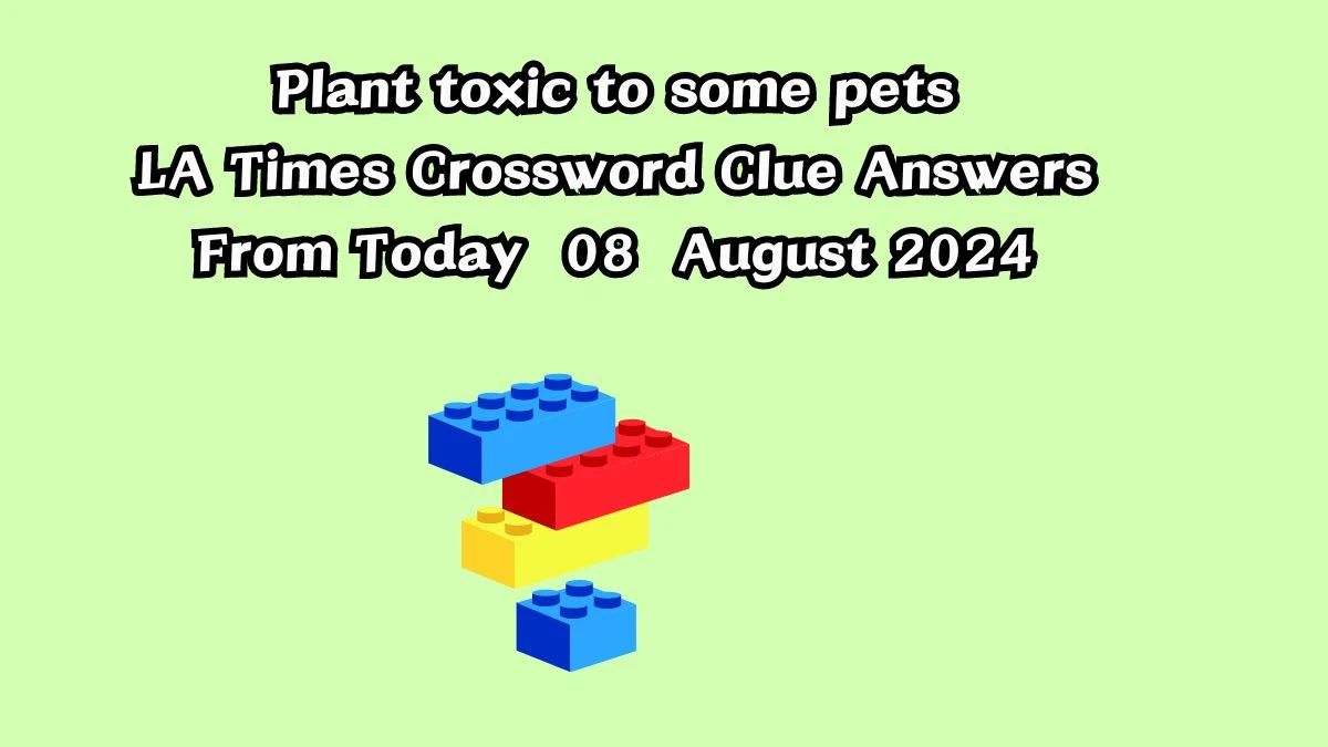 LA Times Plant toxic to some pets Crossword Clue Puzzle Answer from August 08, 2024