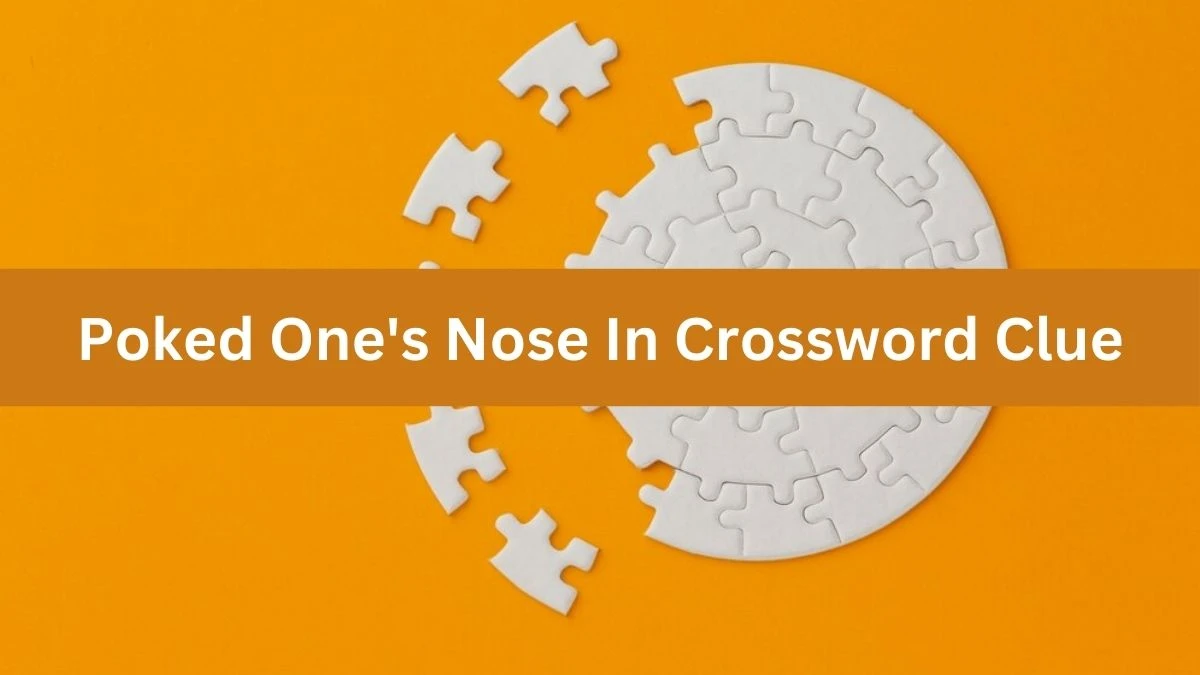 Poked One's Nose In Crossword Clue Puzzle Answer from August 12, 2024