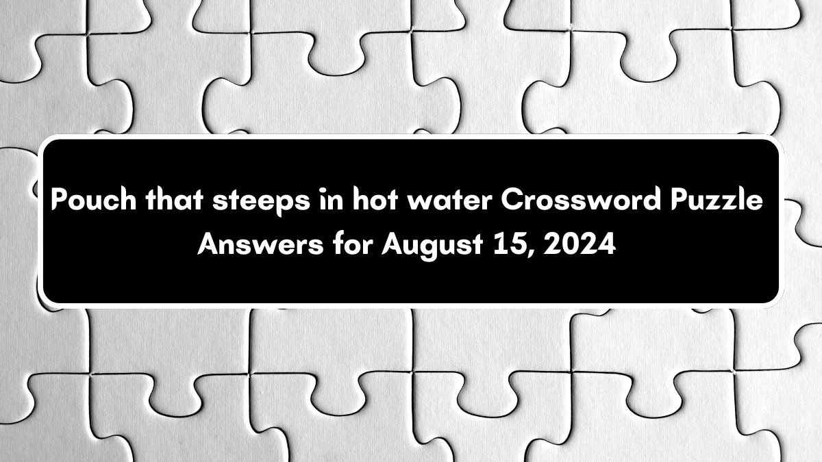 USA Today Pouch that steeps in hot water Crossword Clue Puzzle Answer from August 15, 2024