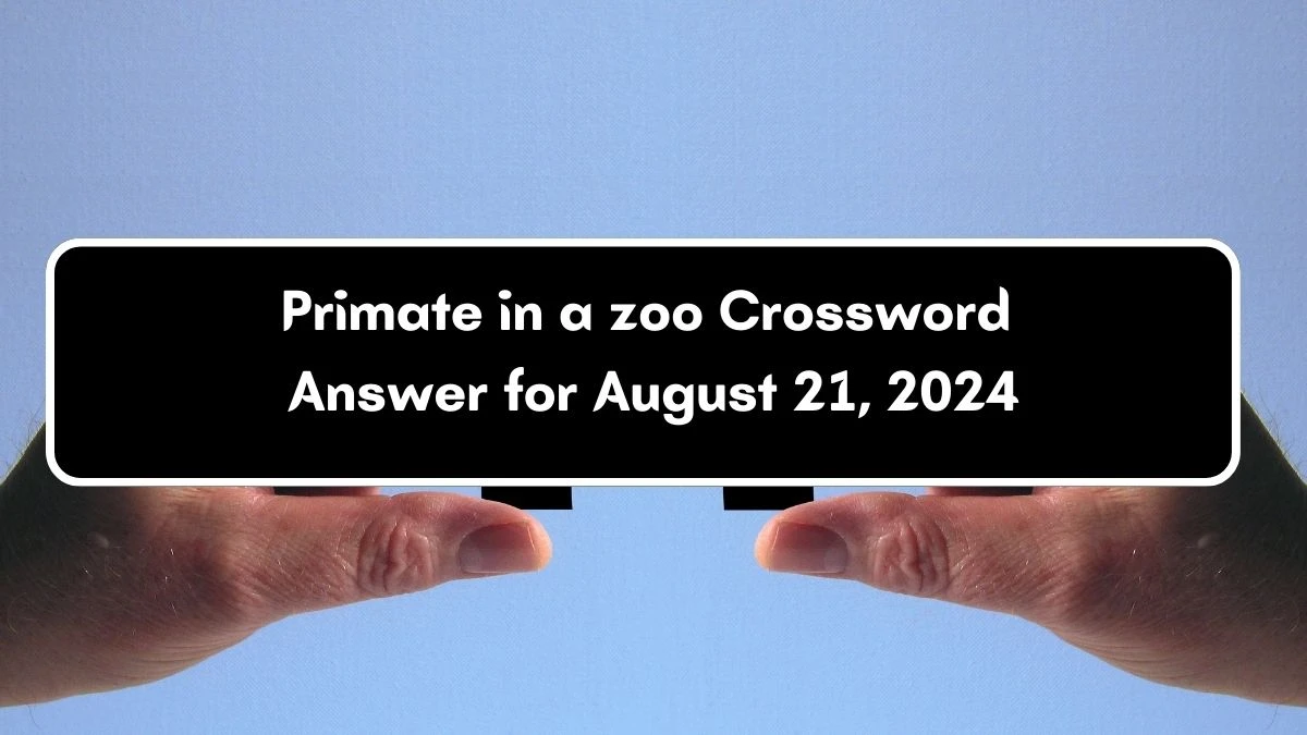 Primate in a zoo Daily Themed Crossword Clue Puzzle Answer from August 21, 2024