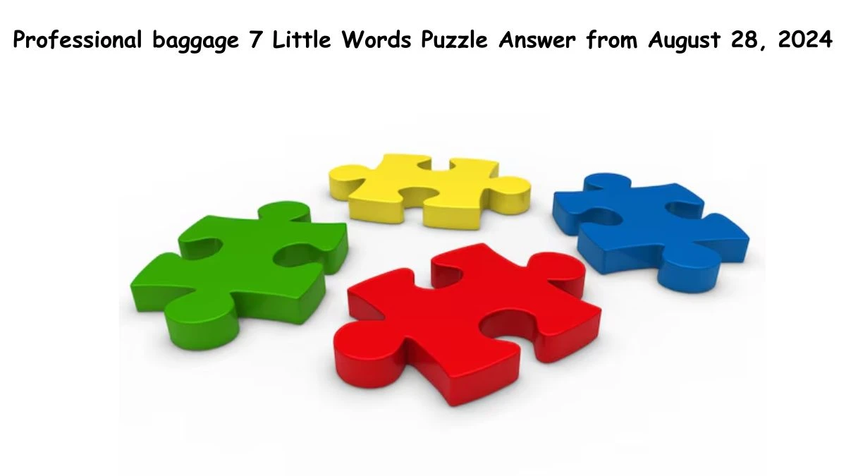 Professional baggage 7 Little Words Puzzle Answer from August 28, 2024