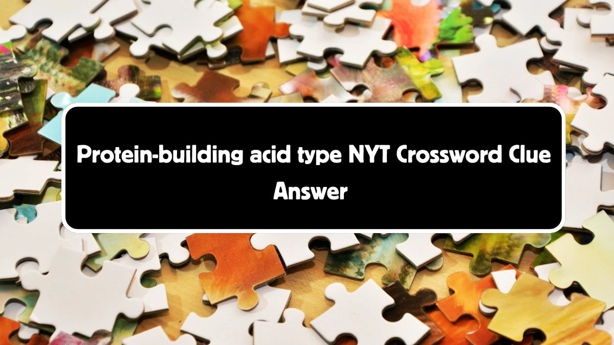 Protein-building acid type Crossword Clue NYT Puzzle Answer from August 05, 2024