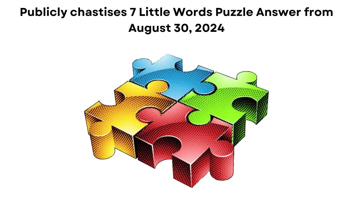 Publicly chastises 7 Little Words Puzzle Answers from August 30, 2024