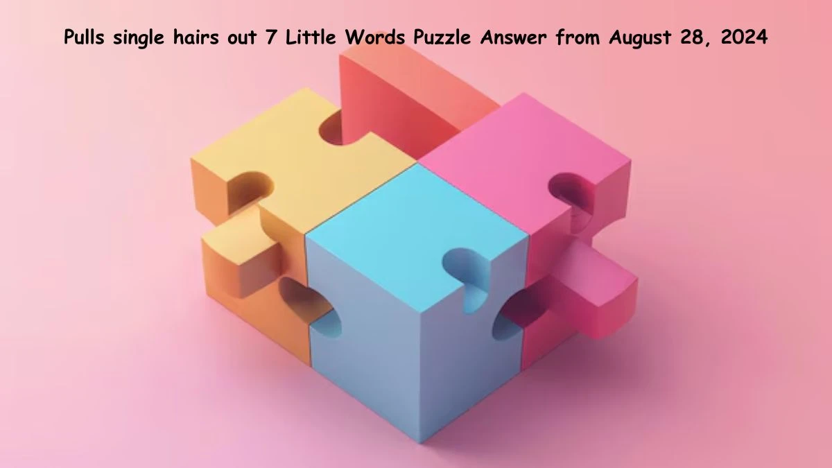 Pulls single hairs out 7 Little Words Puzzle Answer from August 28, 2024