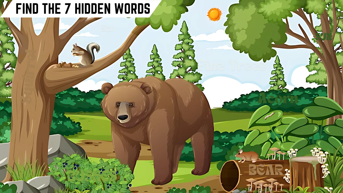 Puzzle IQ Test: Only Genius Can Spot the 7 Hidden Words in this Forest Image in 12 Secs